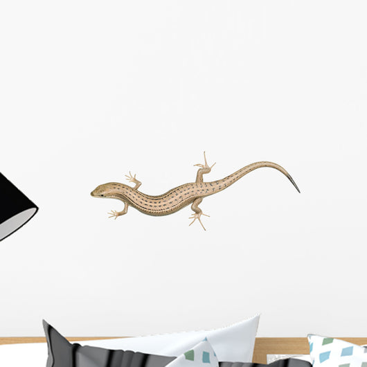 Skink Lizard Wall Decal