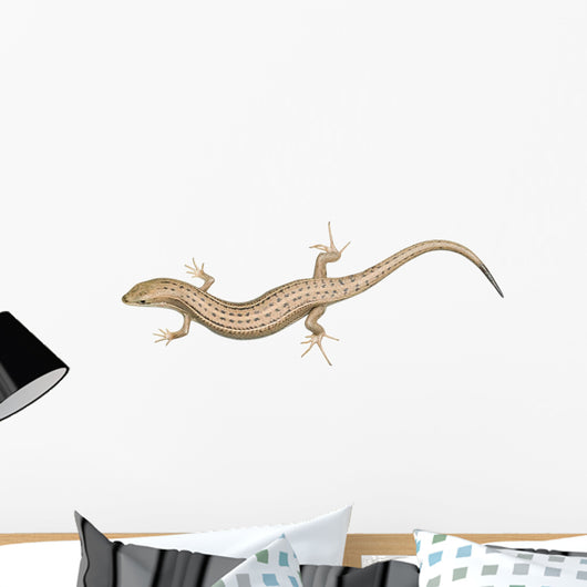 Skink Lizard Wall Decal