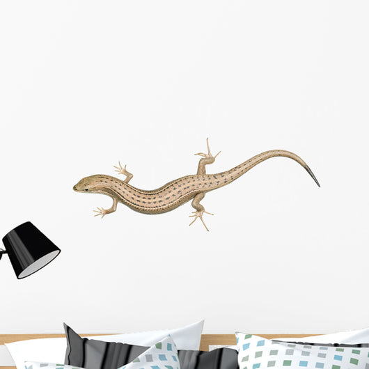 Skink Lizard Wall Decal