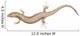 Skink Lizard Wall Decal