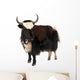 Black and White Yak Wall Decal