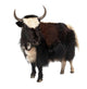 Black and White Yak Wall Decal
