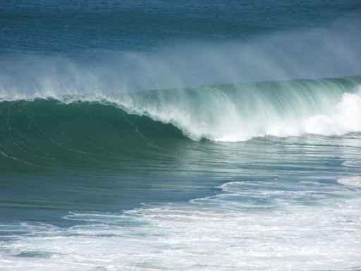 Wave Perfect Wall Decal