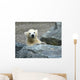 Young Polar Bear Wall Decal