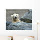Young Polar Bear Wall Decal