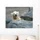 Young Polar Bear Wall Decal