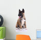 Akita Purebred Puppy White Wall Decal
