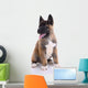 Akita Purebred Puppy White Wall Decal