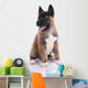 Akita Purebred Puppy White Wall Decal