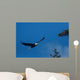 Bald Eagle Flight Wall Decal