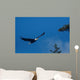 Bald Eagle Flight Wall Decal