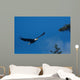 Bald Eagle Flight Wall Decal
