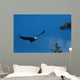 Bald Eagle Flight Wall Decal