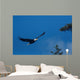 Bald Eagle Flight Wall Decal