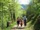 Hiking Wall Decal Design 2