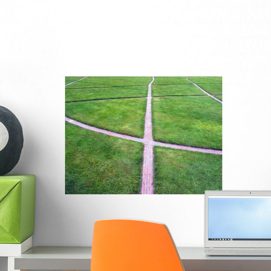 Crossing Paths Wall Decal