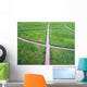 Crossing Paths Wall Decal
