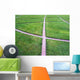 Crossing Paths Wall Decal