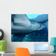 Shark Wall Decal