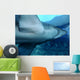Shark Wall Decal