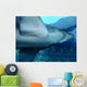 Shark Wall Decal