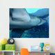 Shark Wall Decal