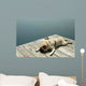 Exhausted Dock Pug Wall Decal