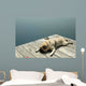 Exhausted Dock Pug Wall Decal
