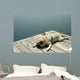 Exhausted Dock Pug Wall Decal