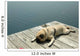 Dock Pug Wall Decal