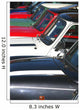 Many Minis Wall Decal
