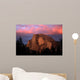 Half Dome Wall Decal