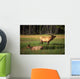 Elk Bay Wall Decal