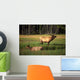 Elk Bay Wall Decal