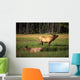 Elk Bay Wall Decal