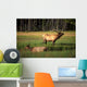 Elk Bay Wall Decal