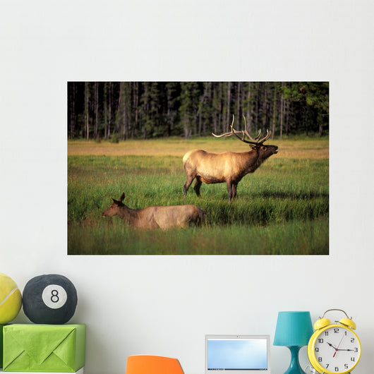 Elk Bay Wall Decal
