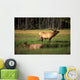 Elk Bay Wall Decal