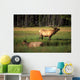 Elk Bay Wall Decal