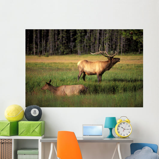 Elk Bay Wall Decal