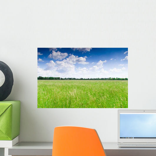 Prairie Wall Decal Design 3