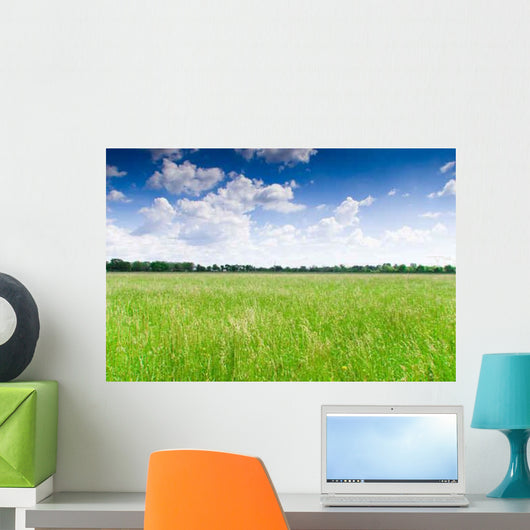 Prairie Wall Decal Design 3