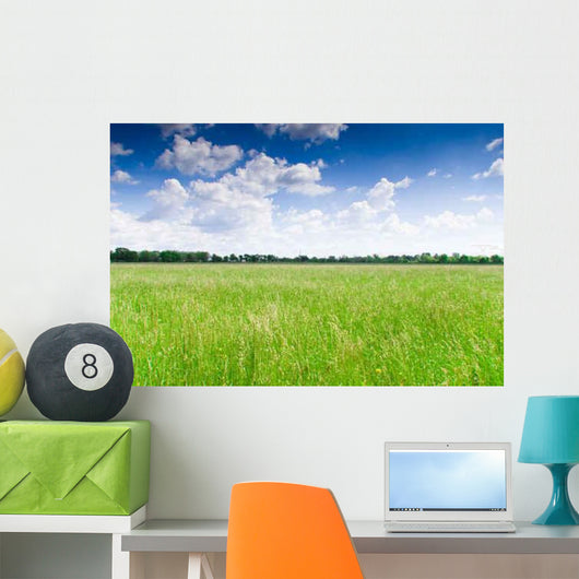 Prairie Wall Decal Design 3