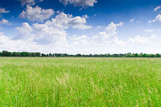 Prairie Wall Decal Design 3