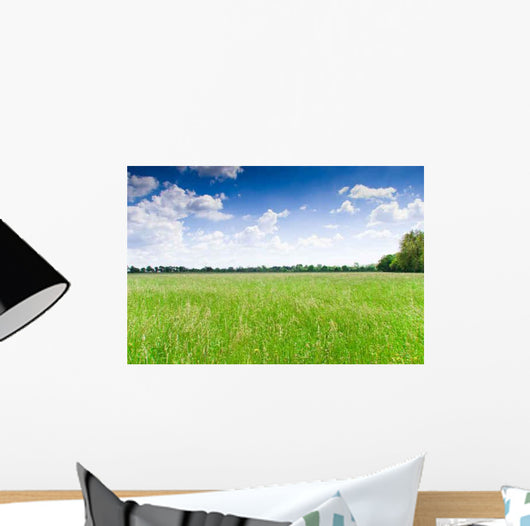 Prairie Wall Decal Design 2