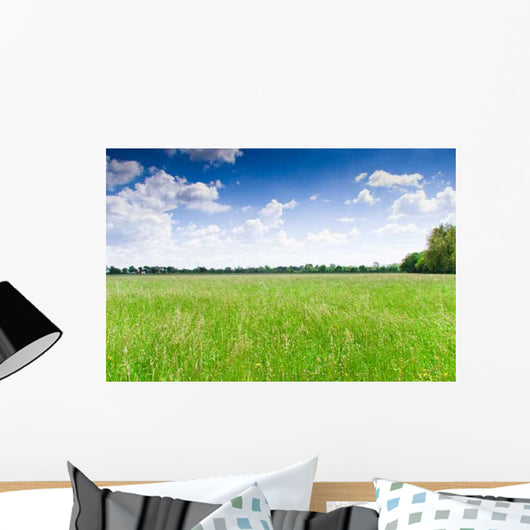 Prairie Wall Decal Design 2