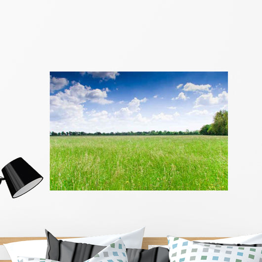 Prairie Wall Decal Design 2