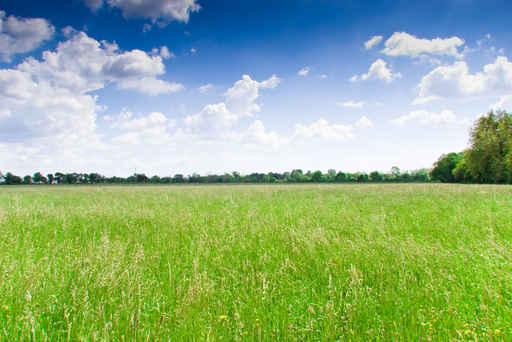Prairie Wall Decal Design 2