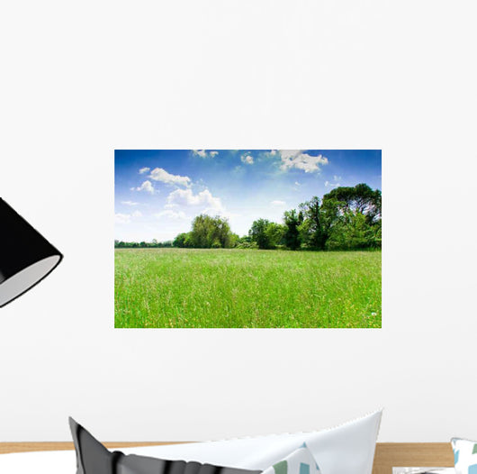 Prairie Wall Decal Design 1