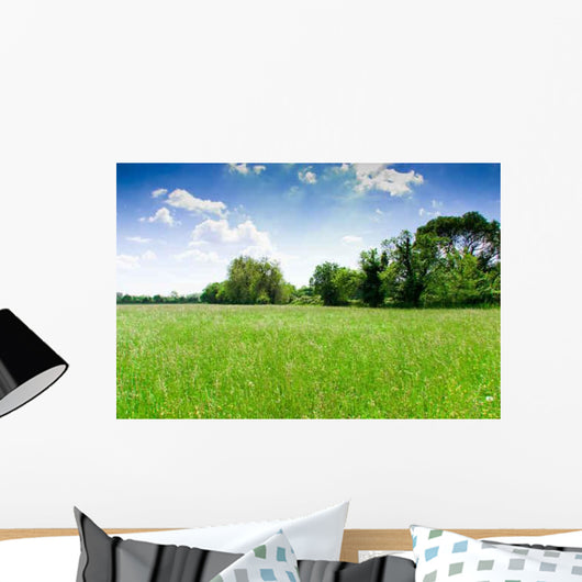 Prairie Wall Decal Design 1